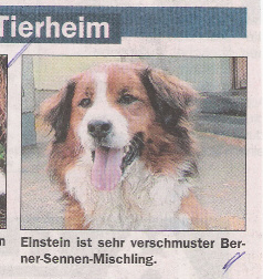 Einstein Heilbronn 2009